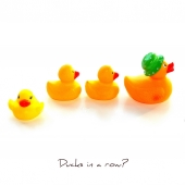 Picture of Duckies